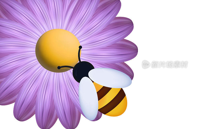 蜜蜂和紫花3d，孤立的图标。一种昆虫采集花蜜和花粉。蜜蜂，野生黄蜂或大黄蜂在开花非洲菊，雏菊。主动劳动的概念，授粉特写。向量