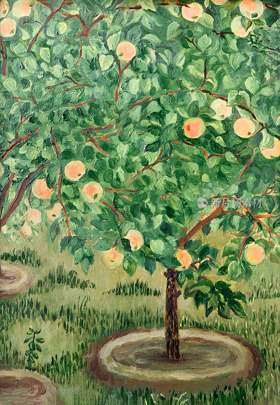 夏日果园里的苹果树上画油画