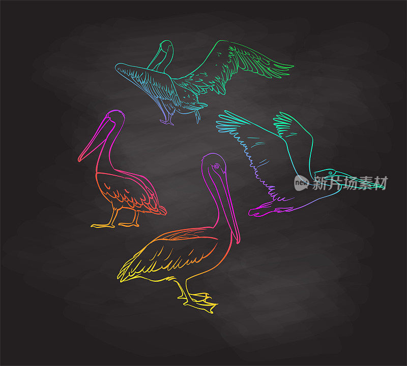 鹈鹕集团彩虹黑板