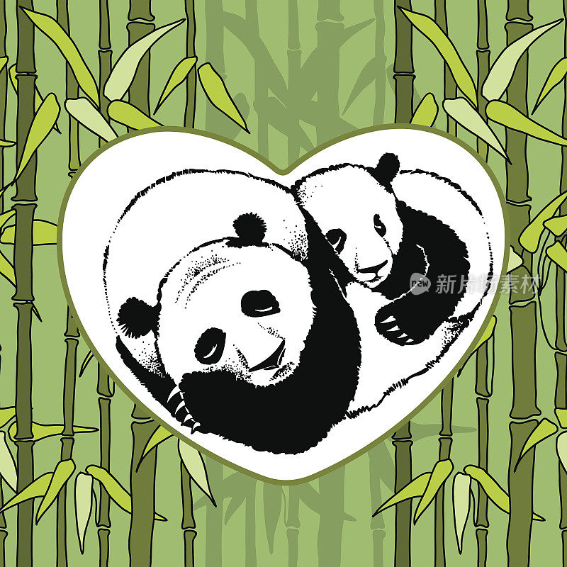 竹子背景下的熊猫