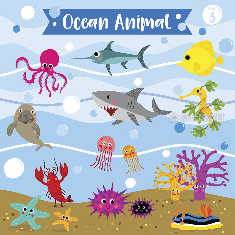 海洋动物卡通。矢量插图。集3