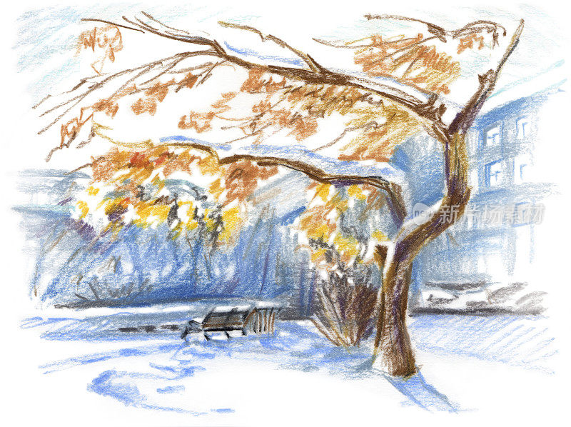 在阳光明媚的日子里，一棵被雪覆盖的树与一条长凳背光的素描