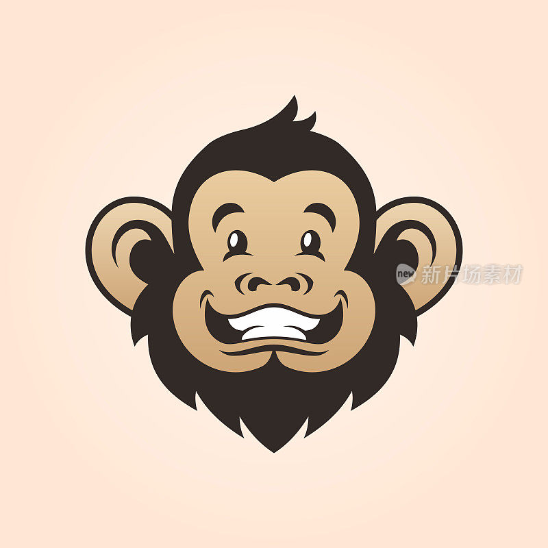 猴子的头。微笑的猴子脸