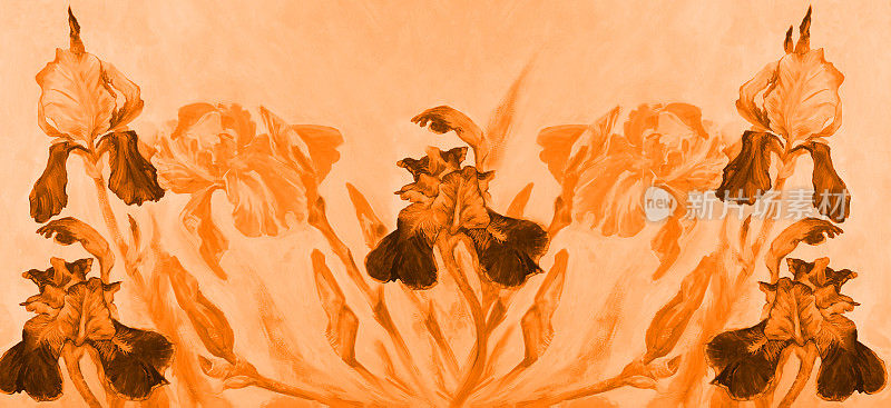 时尚的春天插图寓言作品的艺术花朵印象派油画棕褐色水平象征性装饰静物盛开的黄色鸢尾花在自然环境的一个轻金色阳光装饰背景