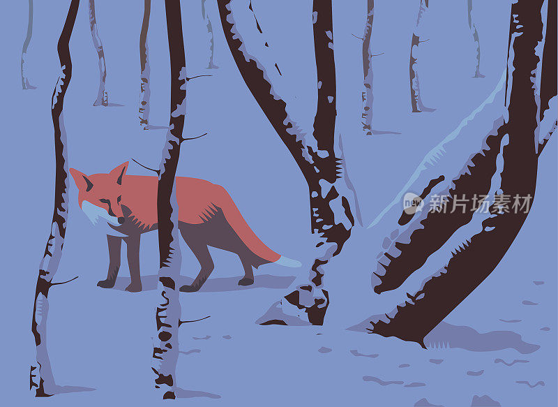 冬天的乡村景色与狐狸