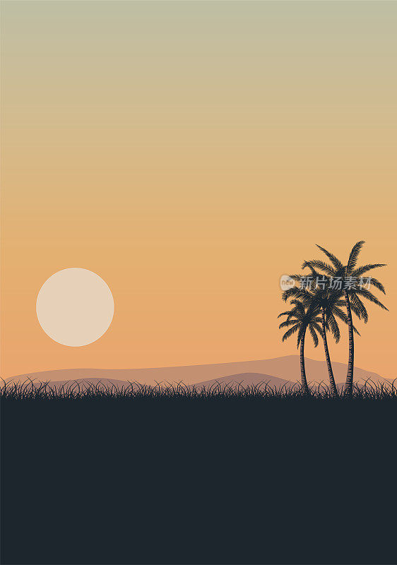 夏季热带日落日出与海滩棕榈树