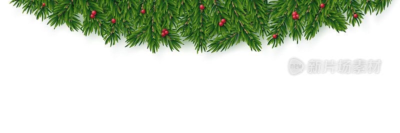 现实向量圣诞边界。冷杉树和红冬青浆果装饰。