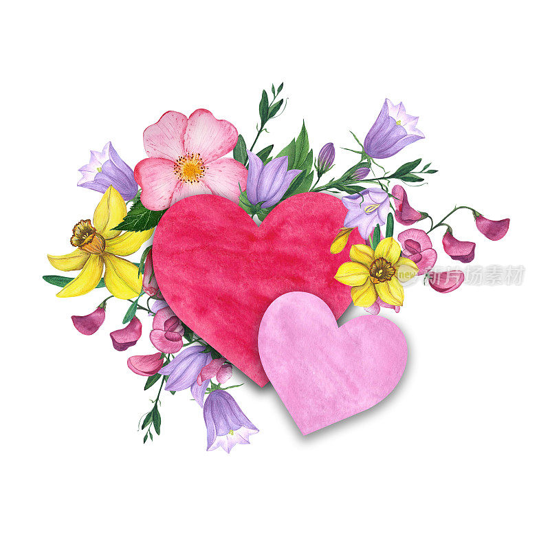 心与花。心形和野花的水彩画插图。
水仙花、风信子、野玫瑰和豌豆构成了两颗粉红色的心。水彩卡，生日贺卡，情人节贺卡，婚礼贺卡