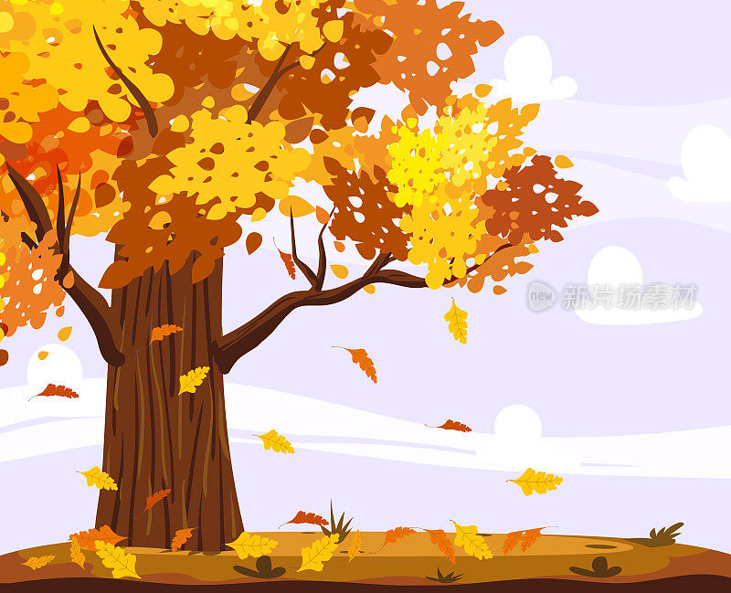 乡间秋景有橡树黄、橙、落叶。Seasone场景,农村