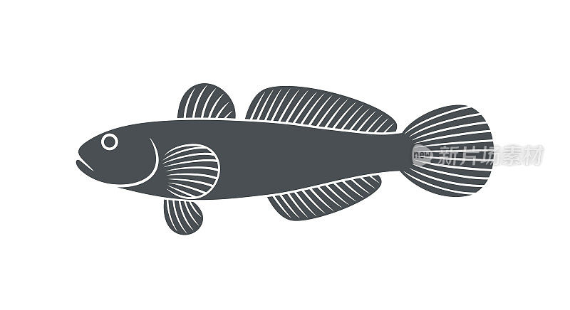 海虾虎鱼标志。孤立的海虾虎鱼在白色背景