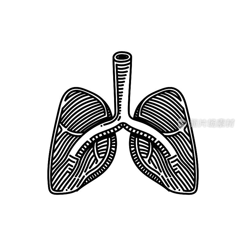 肺线图标，草图设计，像素完美，可编辑笔触。标志、标志、符号。