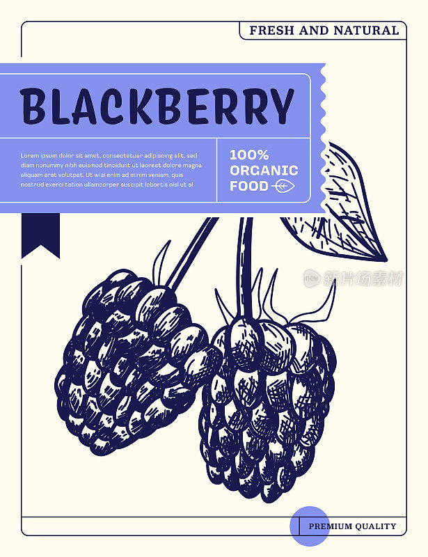 黑莓素描图标包设计模板