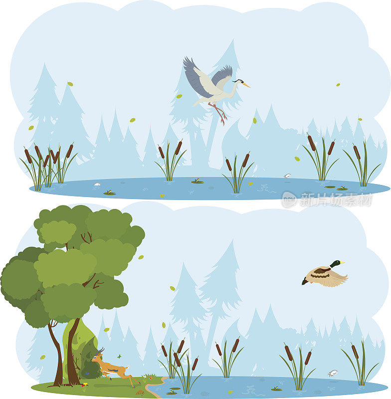 自然场景。湖泊和沼泽里有活鸟