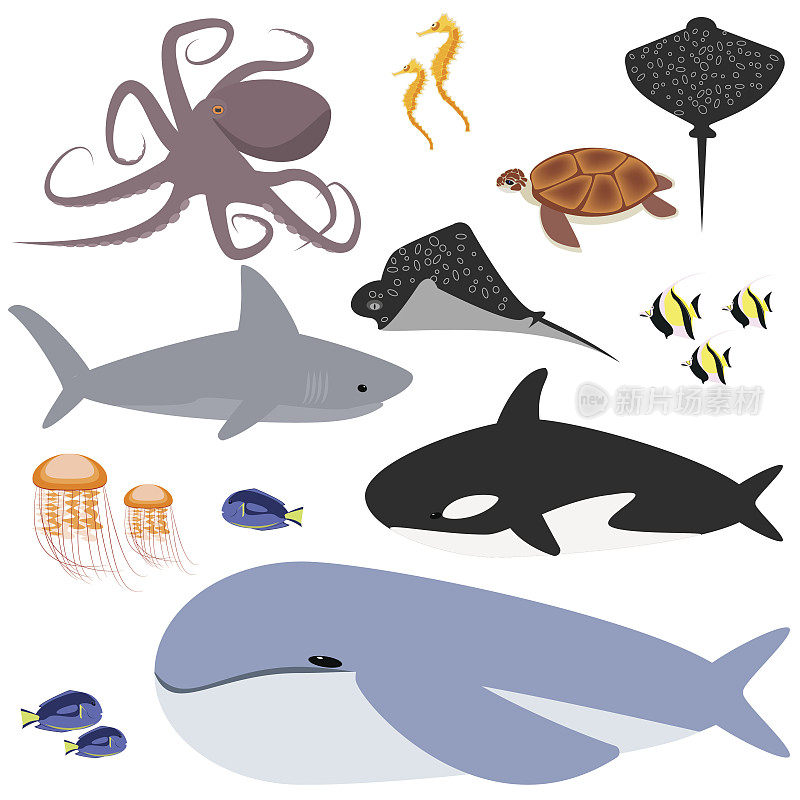 海洋，收藏海洋里的动物、鱼类