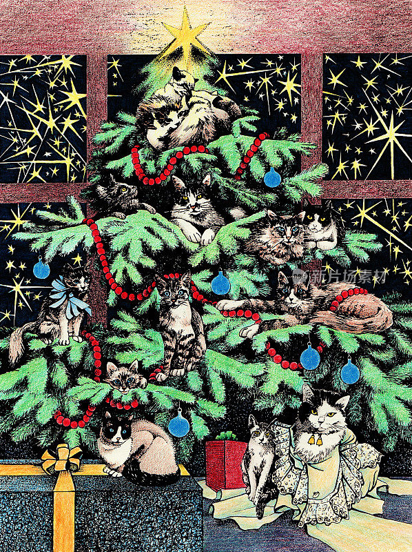 猫的圣诞树