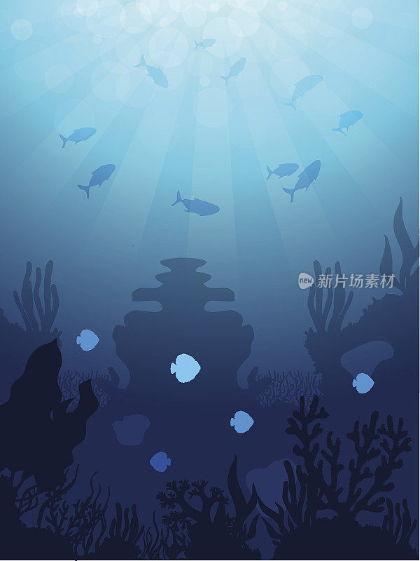 水下海洋生物背景