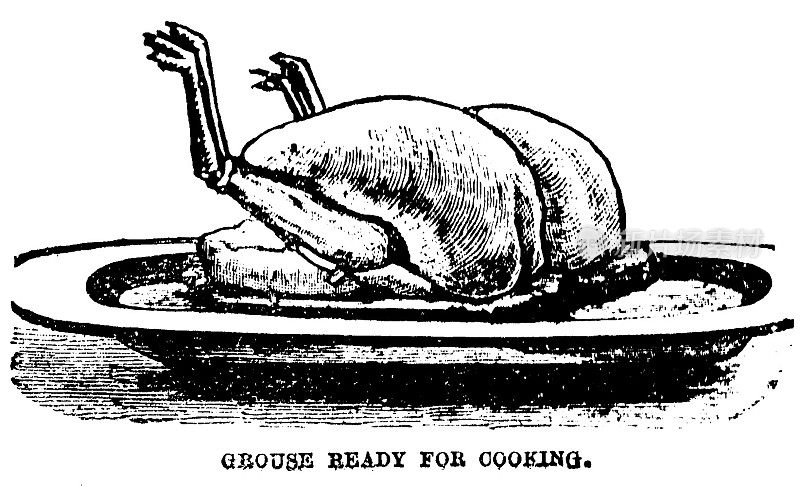 维多利亚时代的一对松鸡准备烹饪的插图;19世纪的家庭主妇和厨师;完整的文本;出自比顿夫人1899年的烹饪书