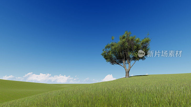 令人惊叹的景观与单一的树3D渲染