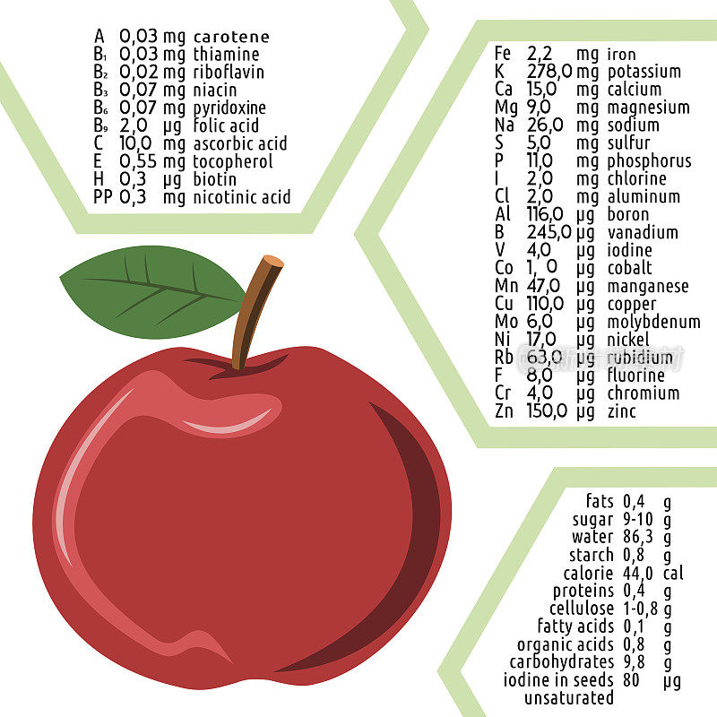 苹果饮食信息图表的组成