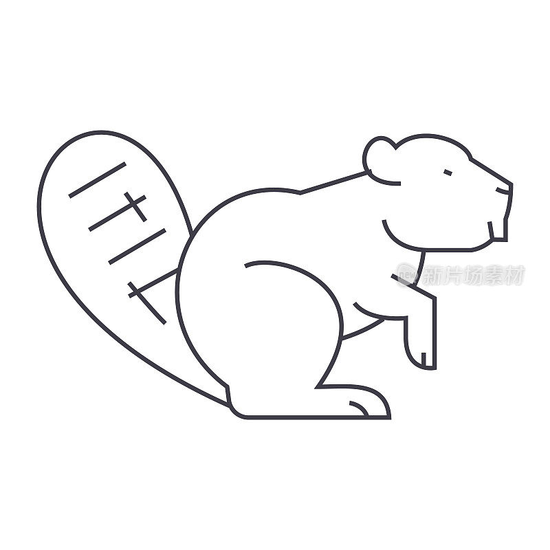 海狸矢量线图标，标志，背景上的插图，可编辑的笔触