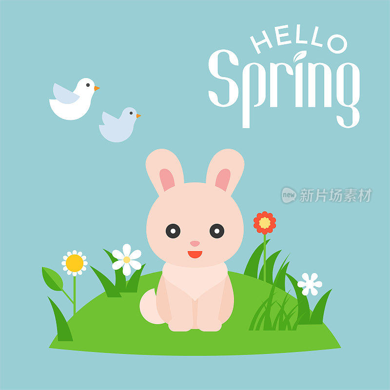 你好春季排版与插图可爱的兔子角色在草地和飞翔的鸟，平面设计矢量