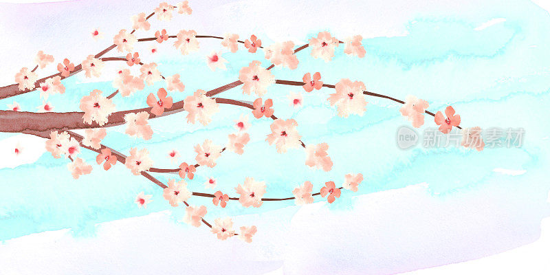 水彩樱花树枝与蓝色水彩天际线