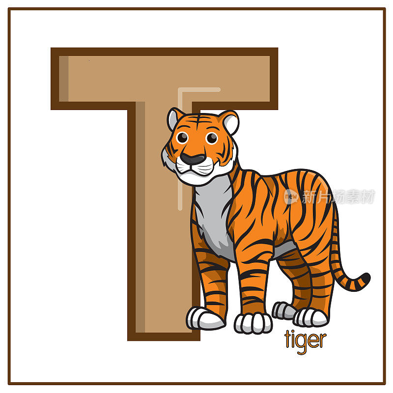 矢量插图的老虎孤立在一个白色的背景。用大写字母T作为教学和学习媒体，供儿童识别英文字母或供儿童学习写字母用于在家里和学校学习。
