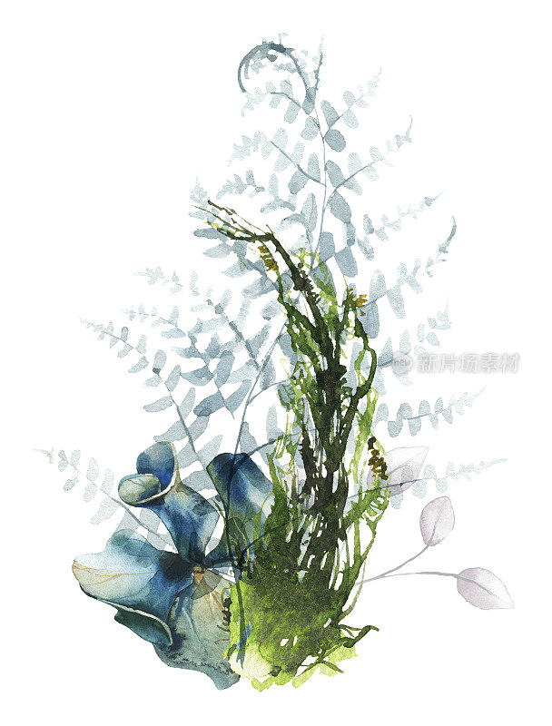 水彩画在白色背景上的花束。飘逸的蓝色绣球花，蕨类植物的叶子和森林苔藓。