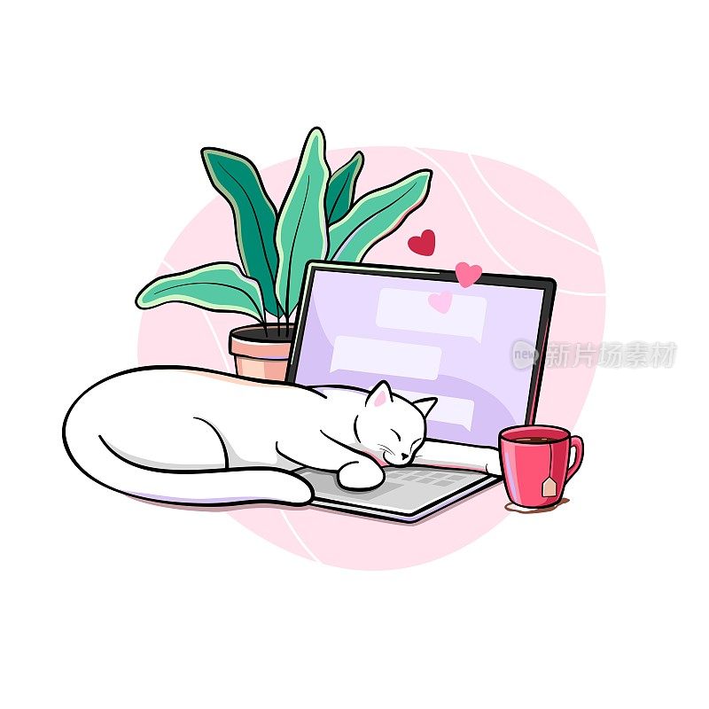 猫睡在笔记本电脑键盘上