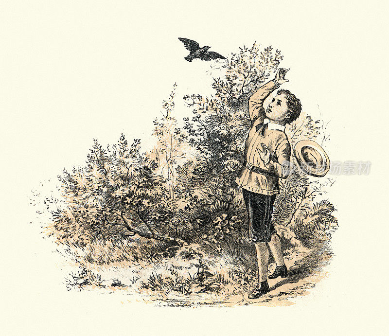19世纪，一个男孩在乡下不出门散步就打扰了一只黑鸟