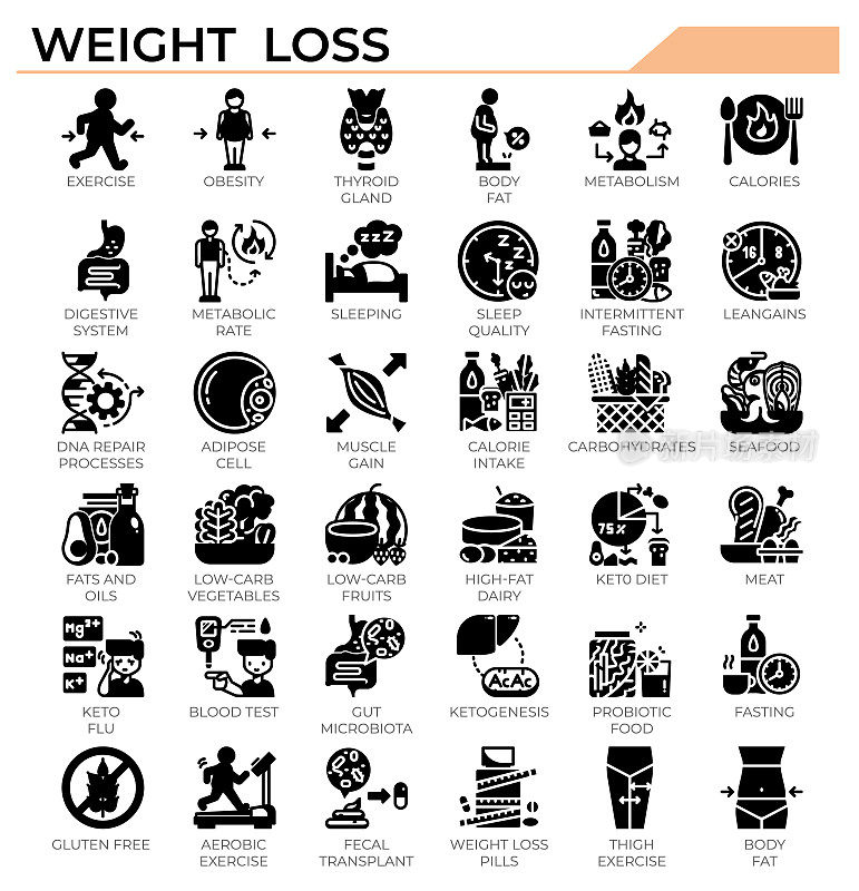 减肥生酮饮食图标集。
