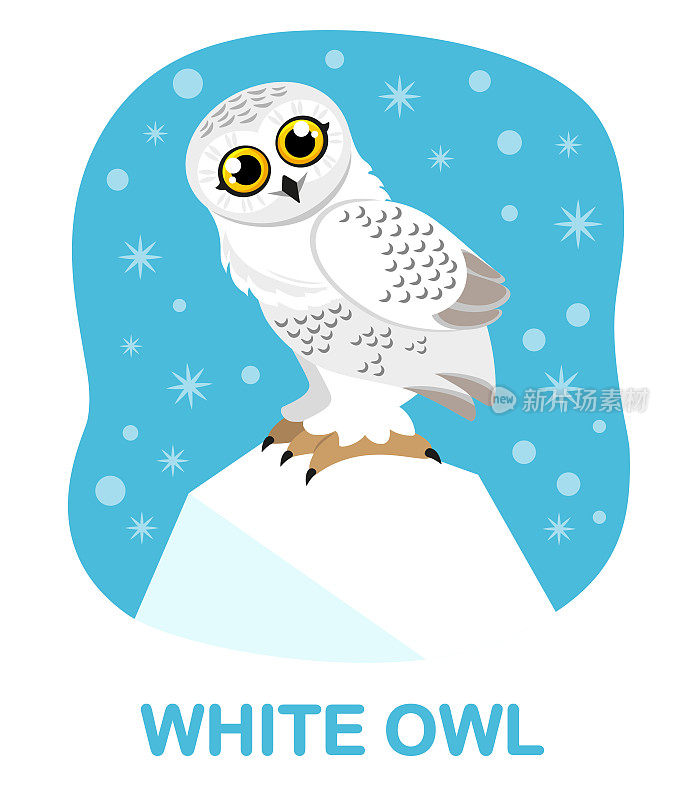 白色雪白的猫头鹰在蓝色的背景，标题。卡通。冬天收集