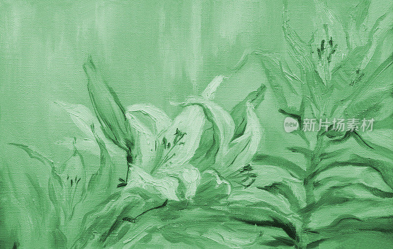 插画油画风景画中百合花在绿色中绽放