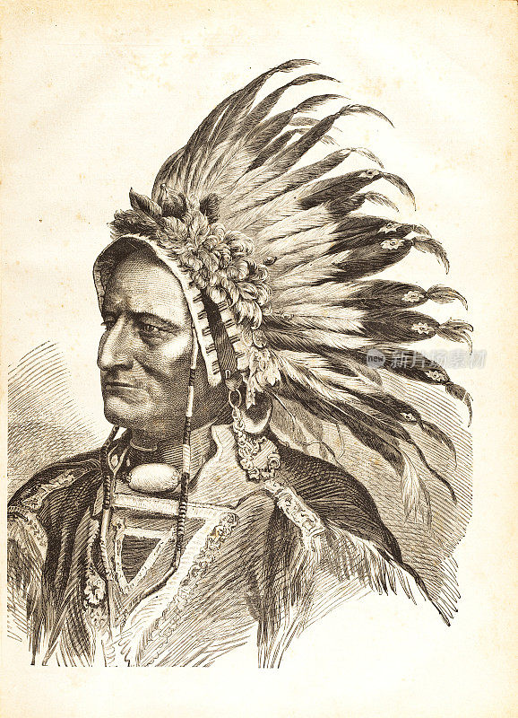 1881年雕刻的美国土著部落首领坐着的公牛