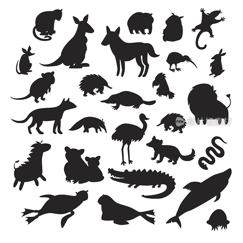 澳大利亚动物的轮廓，孤立在白色背景矢量插图