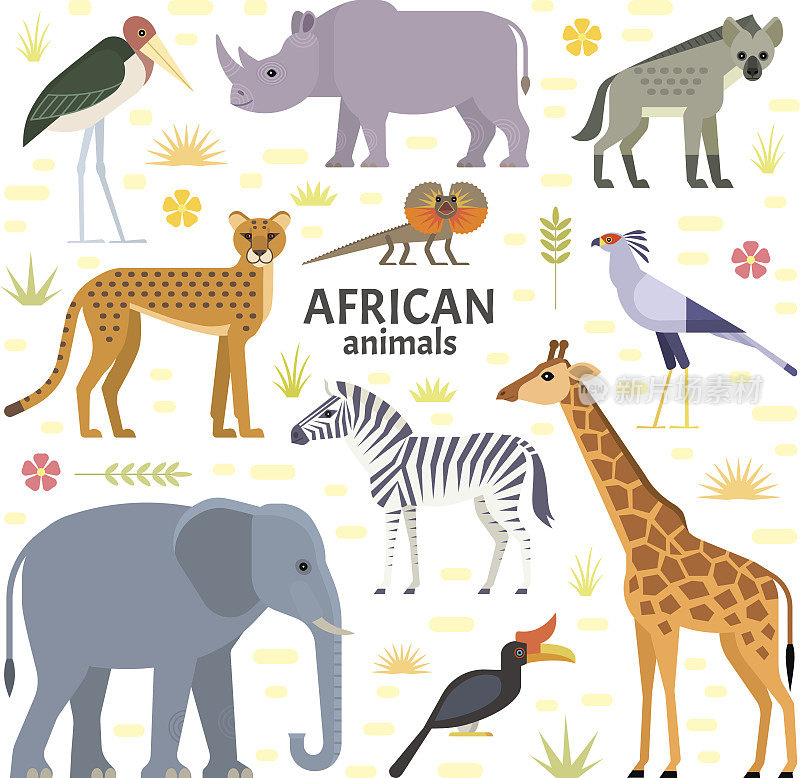 非洲的动物