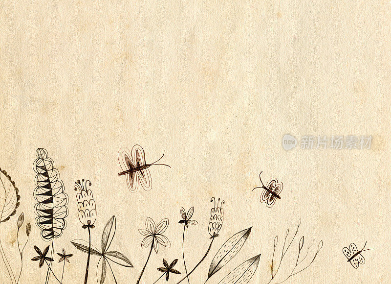 手绘植物，花和蝴蝶在旧的，污迹纸上