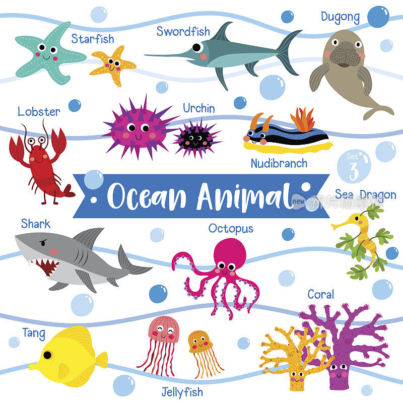 海洋动物卡通与动物的名字矢量插图。集3
