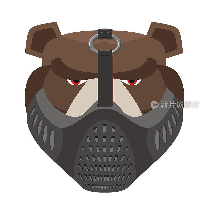 戴着防护面具的愤怒熊。积极的灰熊的头。野生动物炮口孤立。森林的捕食者