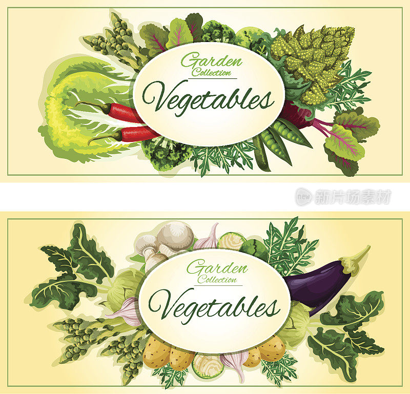 健康蔬菜横幅与新鲜蔬菜