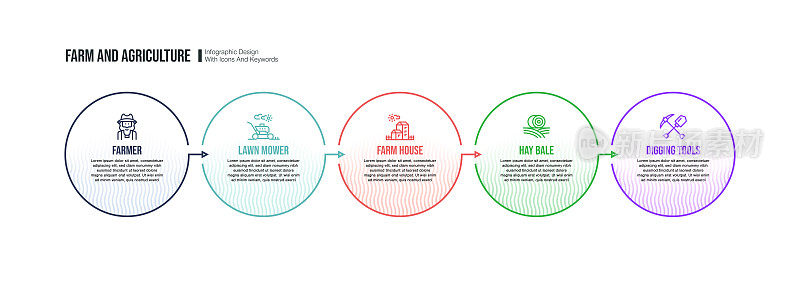 与农场和农业关键字和图标的信息图表设计模板