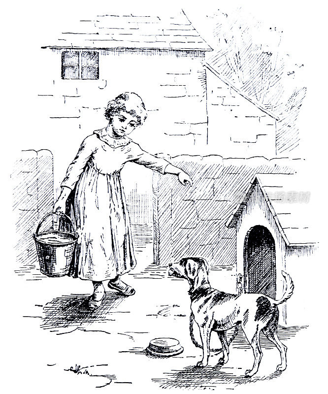 女孩提着水桶，在狗屋里给等候的狗准备食物