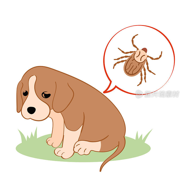 矢量插图小狗狗感觉糟糕的蜱叮咬。蜱虫季节，狗狗梳理。