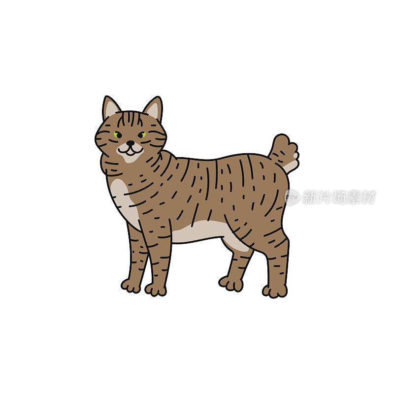 猫品种美国短尾轮廓素描涂鸦插图。
