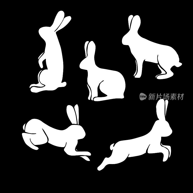白兔剪影集。矢量集的兔子剪影孤立在黑色背景。剪纸艺术。