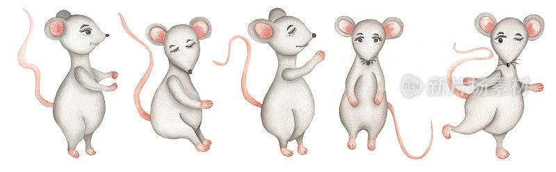水彩可爱老鼠插画集，手绘灰色大老鼠剪纸，动物打印。