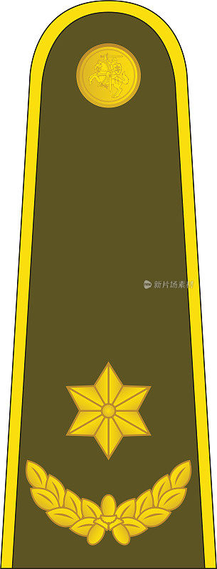 立陶宛护肩军官徽章MAJORAS(少校)