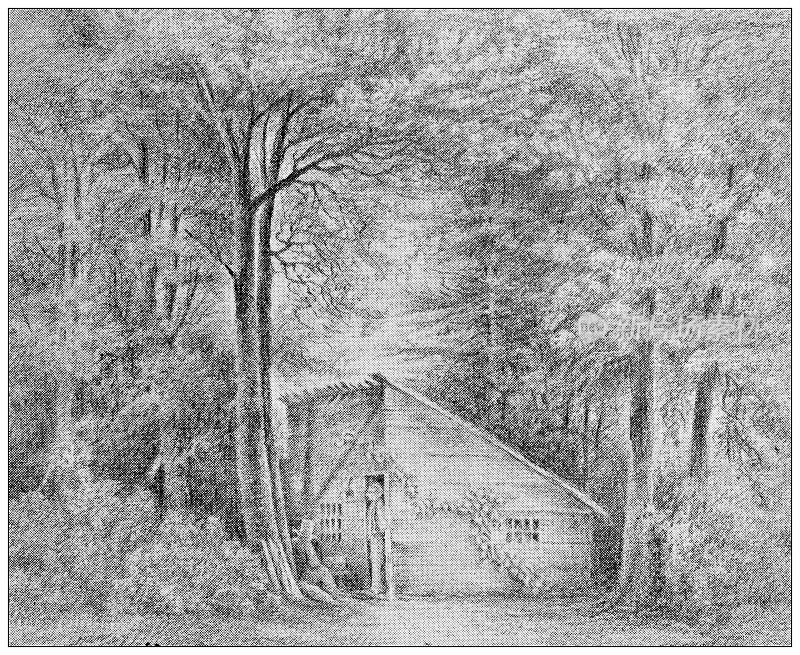 马萨诸塞州汉普顿县的古色古香的照片:斯普林菲尔德，布莱克森林中的小屋
