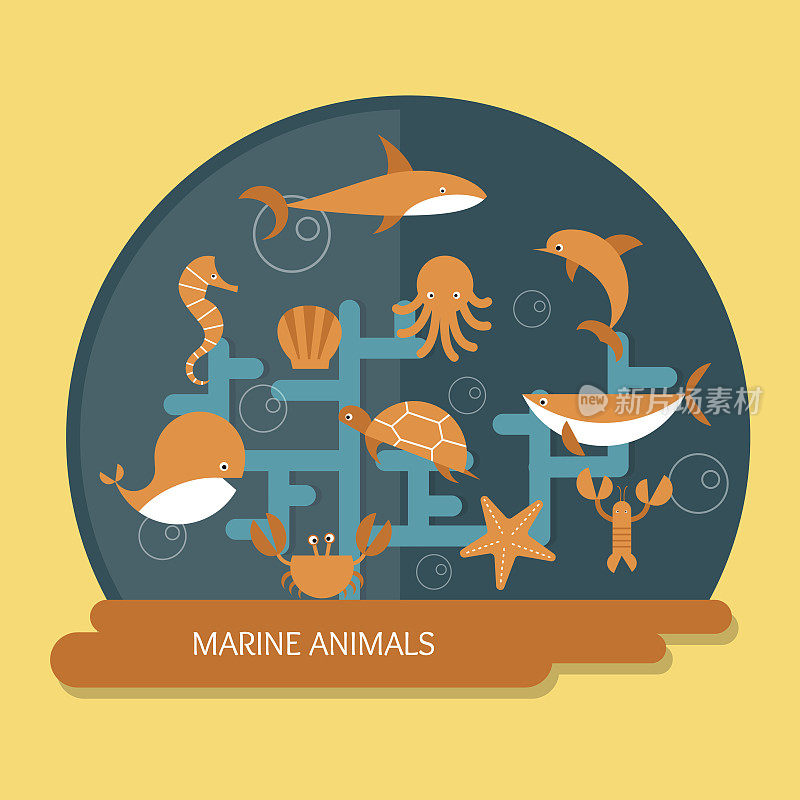 保护和养护海洋动物