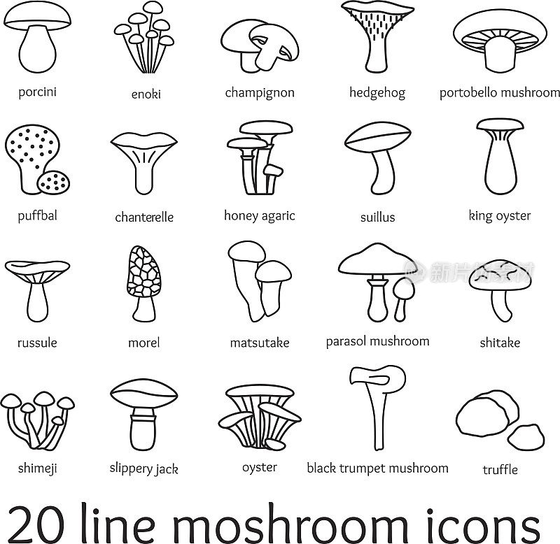 20行蘑菇图标